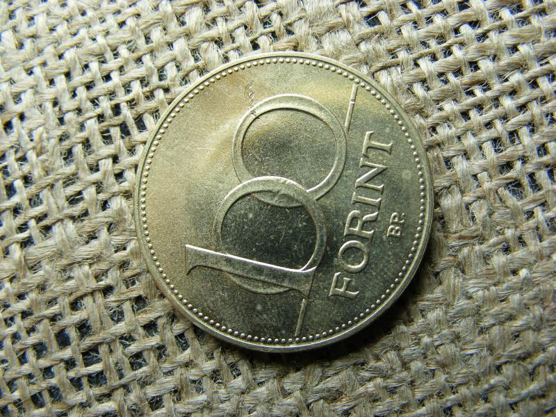 100 forintos érme, 1993, verdehibás, verdefényes