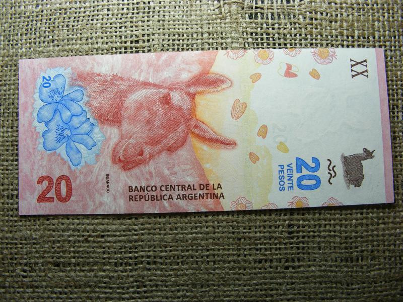Argentína 20 pesos, 2017-2020, v2