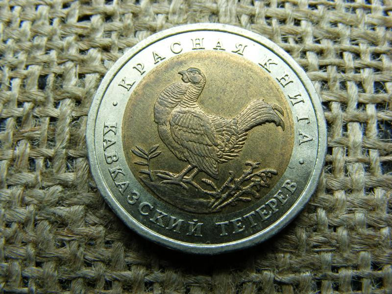 50 rubel, 1993, ritka