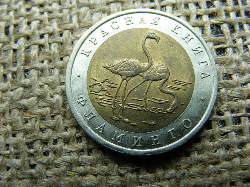 50 rubel, 1994, ritka