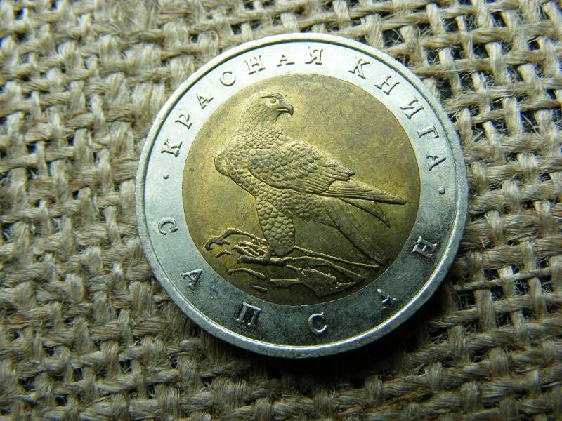 50 rubel érme, 1994, ritka