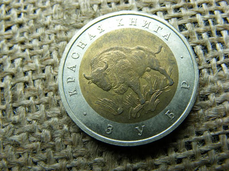 50 rubel, 1994, ritka
