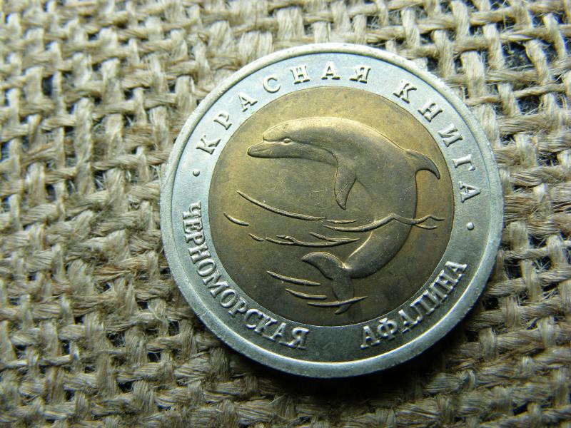 50 rubel érme, 1993, ritka