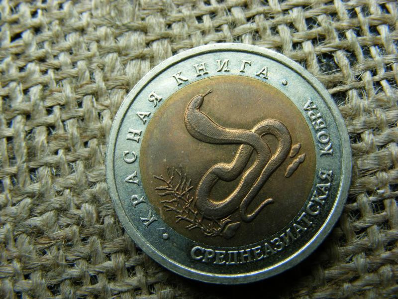 10 rubel 1992, ritka fémpénz
