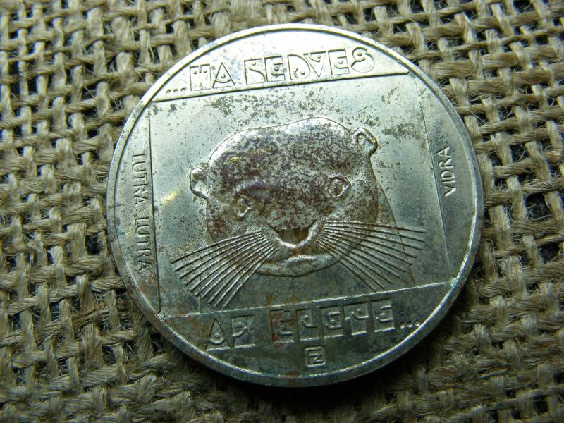 100 forintos érme, 1985, Vidra