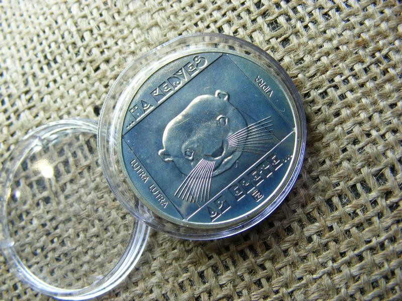 100 forintos érme, 1985, Vidra, BU