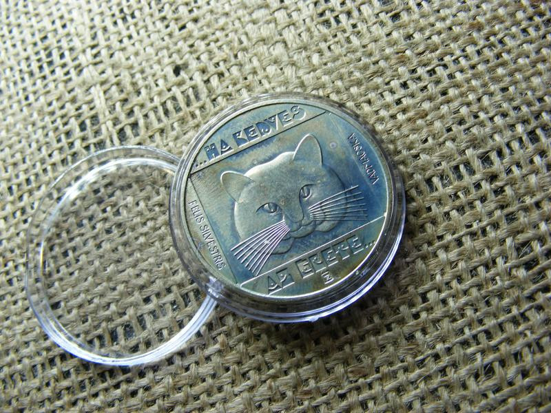100 forintos érme, 1985, Vadmacka, BU