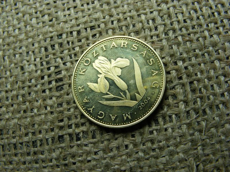 20 forintos érme, 2004, PP