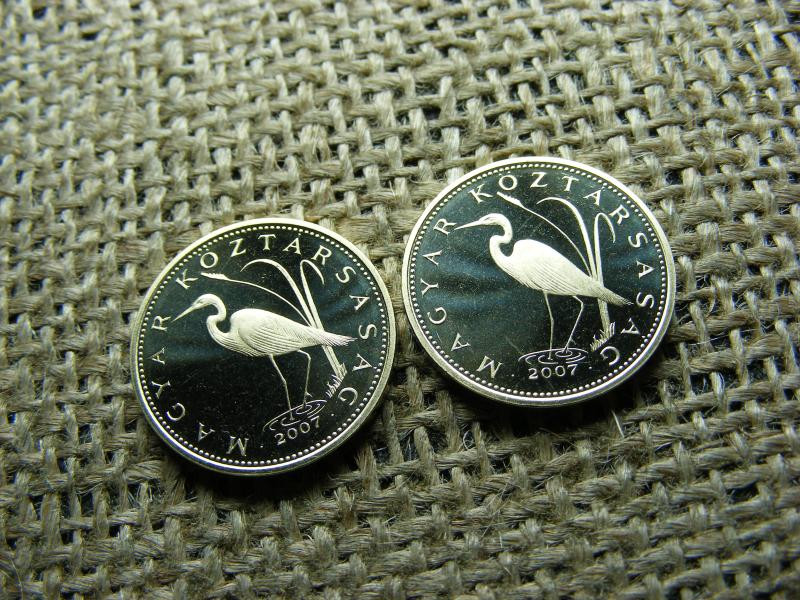 5 forintos érme, 2007, PP