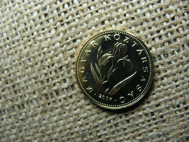 20 forintos érme, 2007, BU