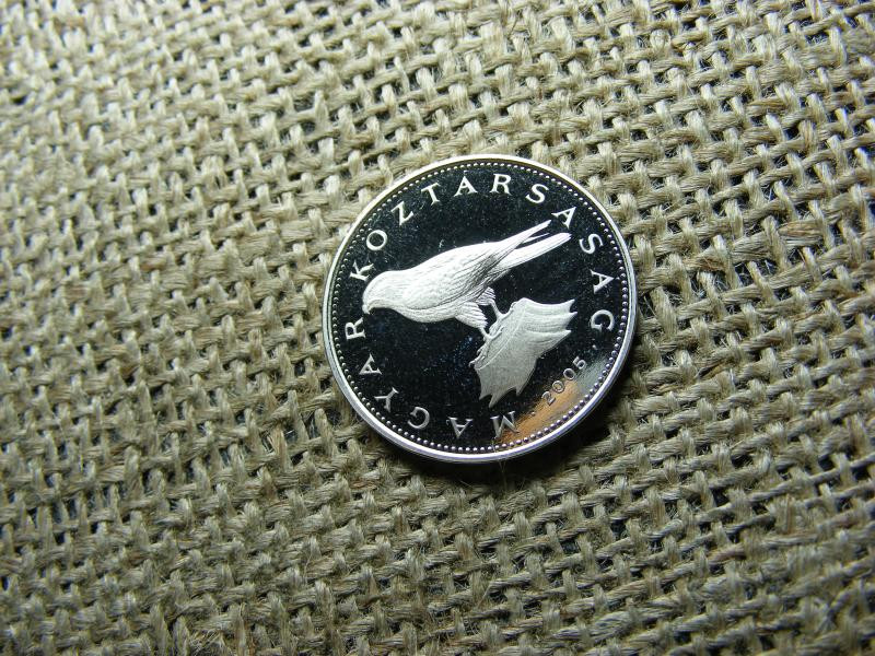 50 forintos érme, 2005, PP