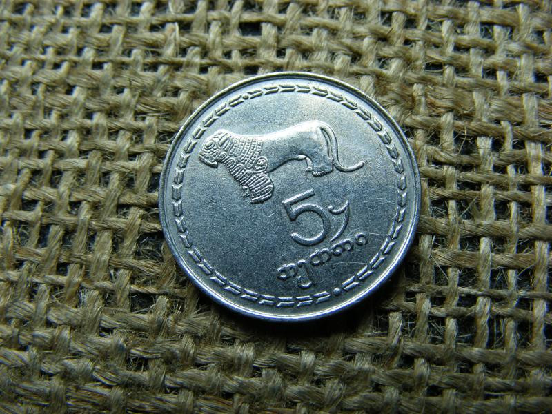 Georgia 5 Tetri, 1993