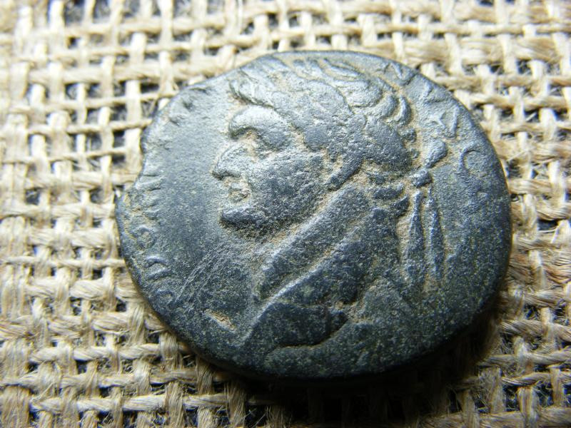 Domitianus Antiokheiai Nagybronz, 81-96