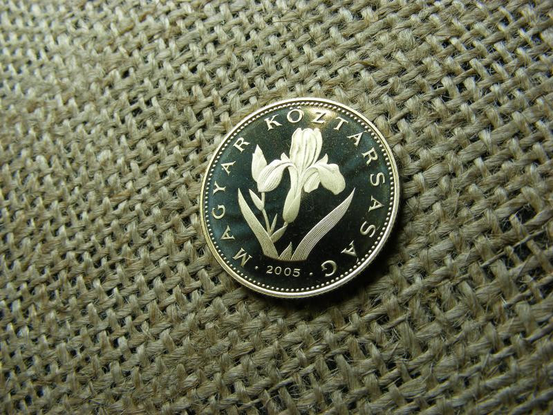 20 forintos érme, 2005, PP