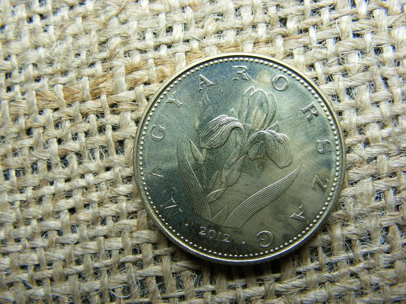 20 forintos érme, 2012, BU