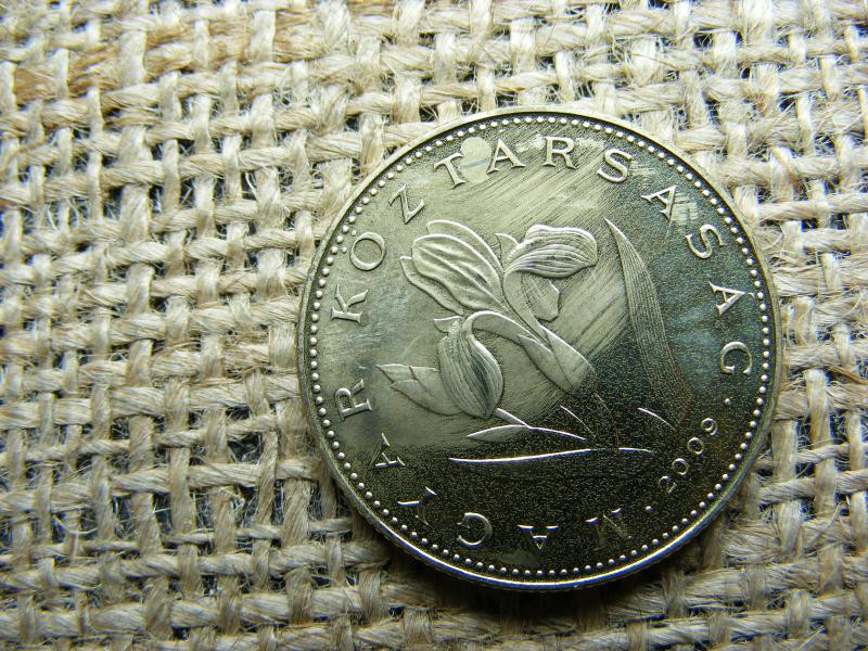 20 forintos érme, 2009, BU