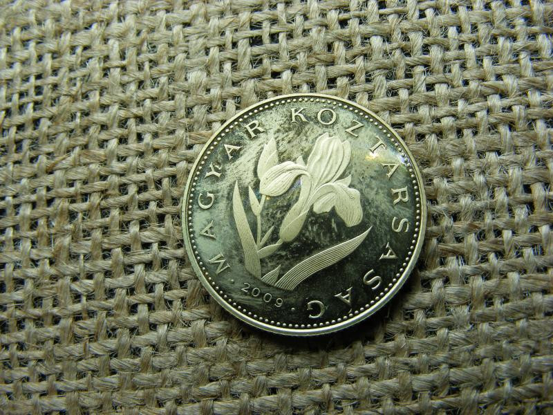 20 forintos érme, 2009, PP