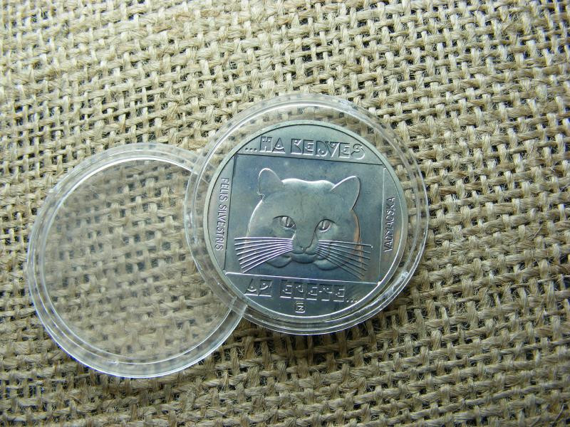 100 forintos érme, 1985, Vadmacka