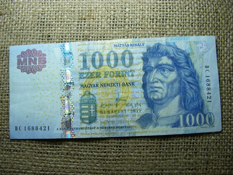 1000 forintos bankjegy, 2011, DC sorozat