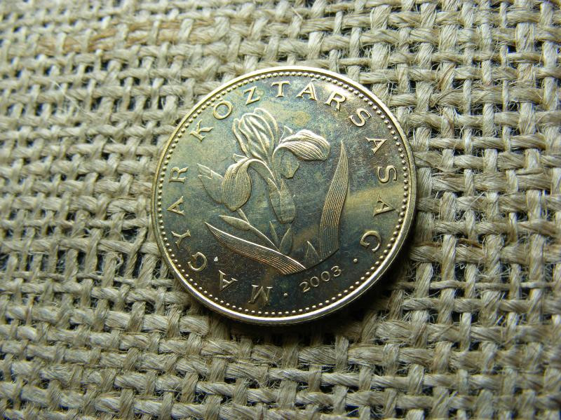 20 forintos érme, 2003, BU