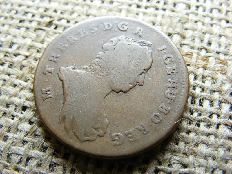 Mária Terézia Poltura, 1765