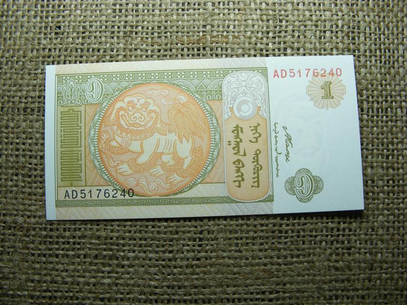 Mongólia 1 tugrik, 2008, UNC, (A3)