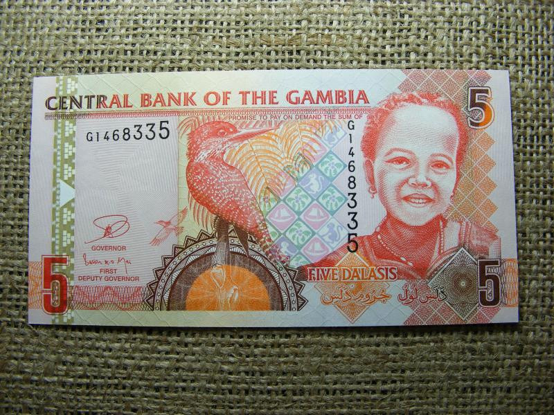 Gambia 5 dalasis bankjegy, 2013, UNC, (A5)