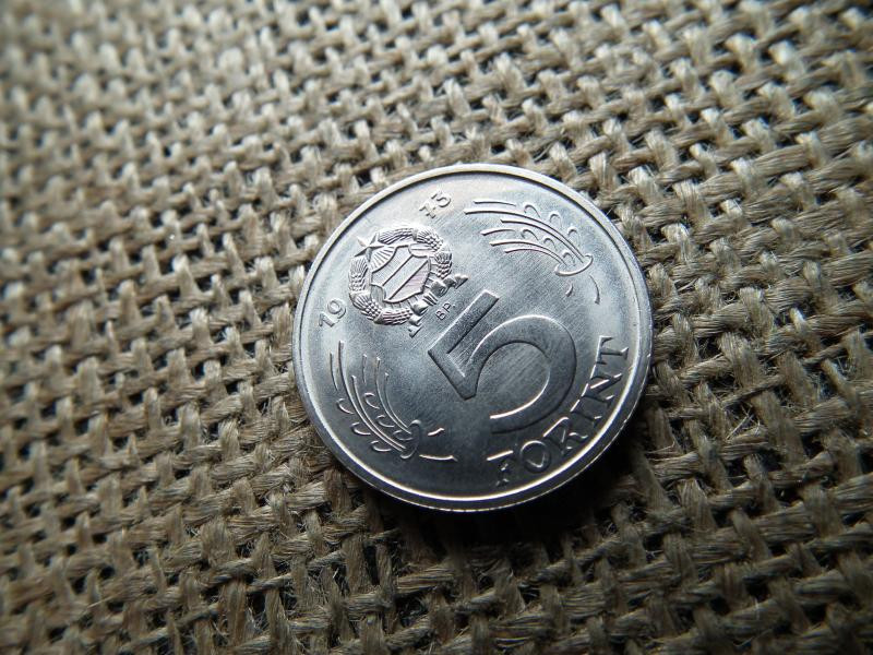 5 forintos érme, 1973