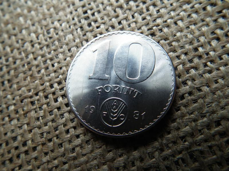 10 forintos érme, 1981, FAO