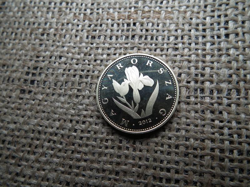 20 forintos érme, 2012, PP