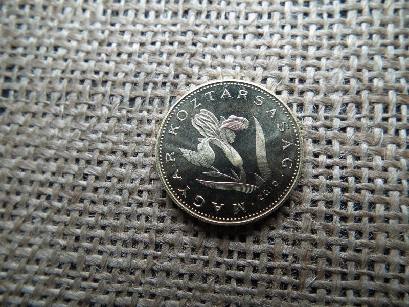 20 forintos érme, 2010, PP