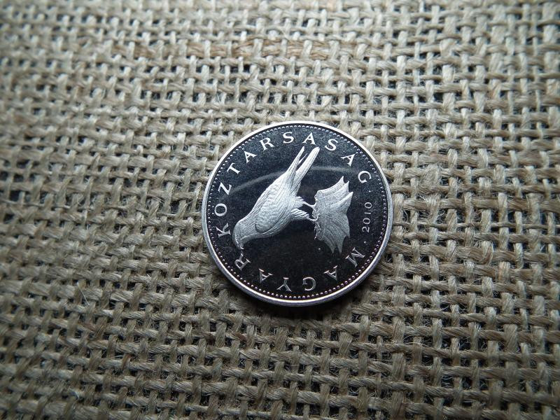 50 forintos érme, 2010, PP