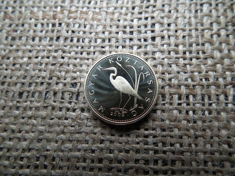 5 forintos érme, 2009, PP