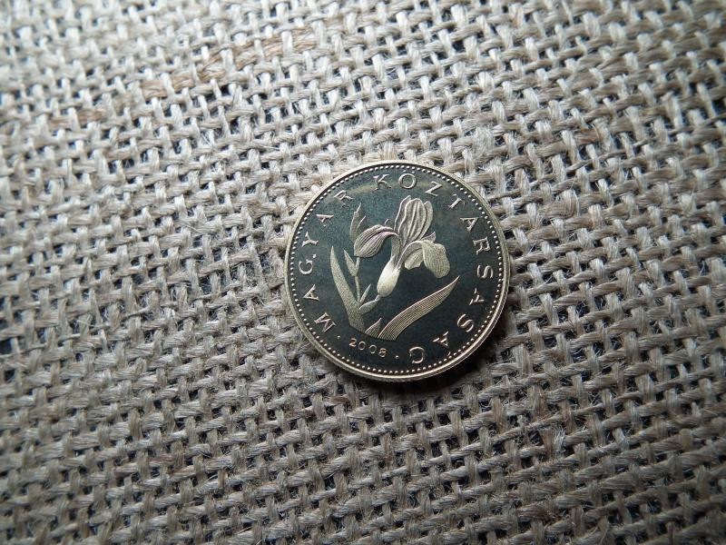 20 forintos érme, 2008, PP