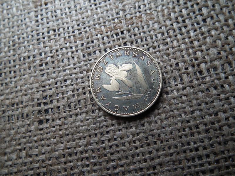 20 forintos érme, 2008, PP