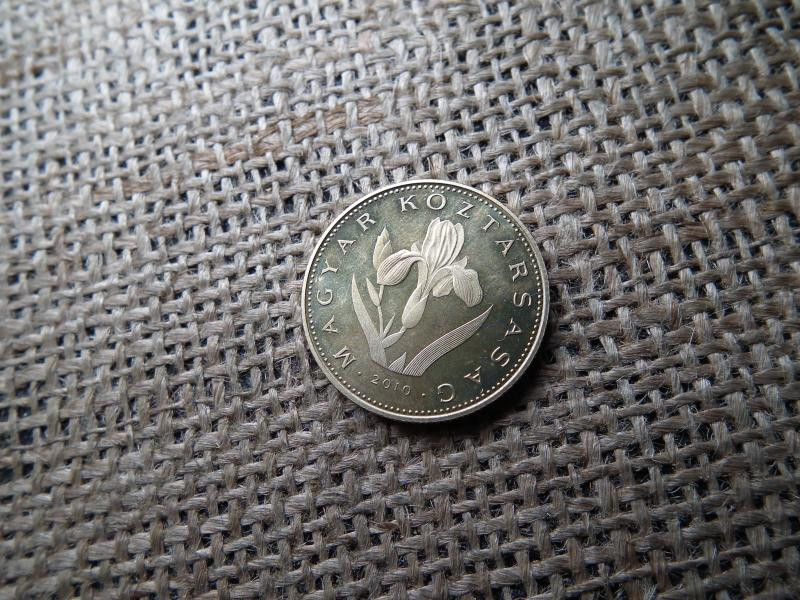 20 forintos érme, 2010, PP