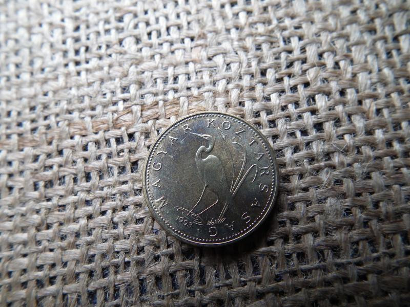 5 forintos érme, 1993, BU