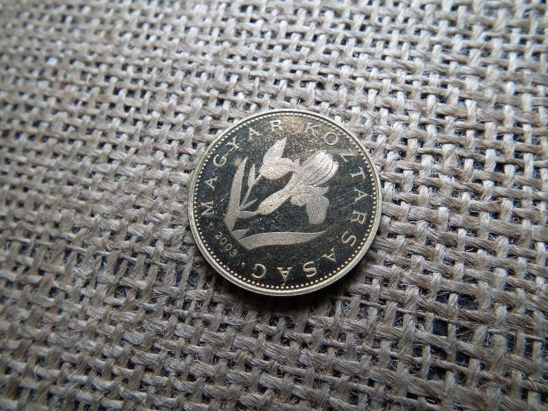 20 forintos érme, 2003, PP