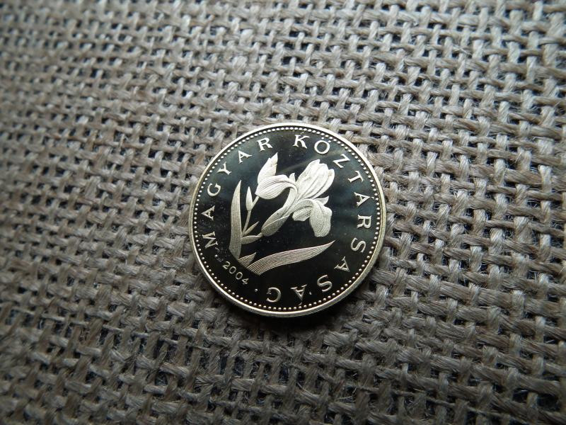 20 forintos érme, 2004, PP