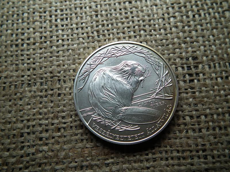 Ezüst 3000 forint, 2000, BU, Hód