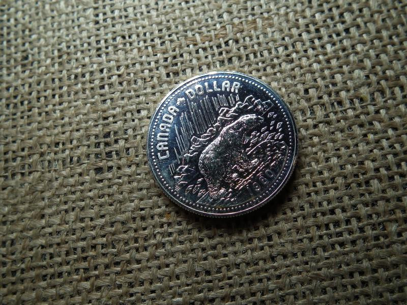 Kanada, 1 dollár, 1980, ezüst