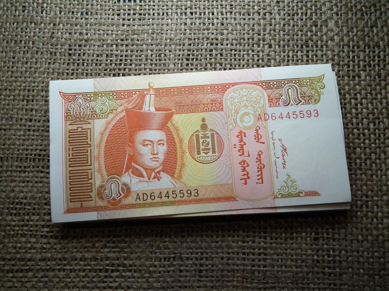 Mongólia 5 tögrög, 2008, hajtatlan