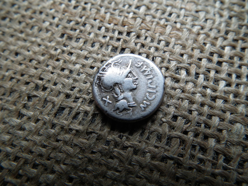 Római Köztársaság , Manius Cipius , Denarius ( Kr. e. 115-114  ) dénár , Róma 