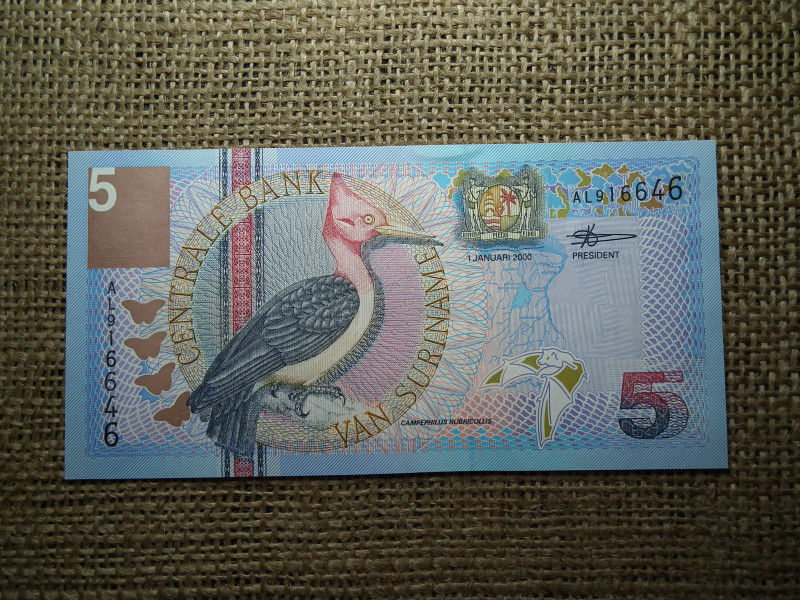 Suriname 5 gulden 2000 , hajtatlan 