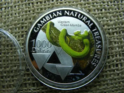 Gambia 1000 Dalasis Érem, 2015, Ezüstözött