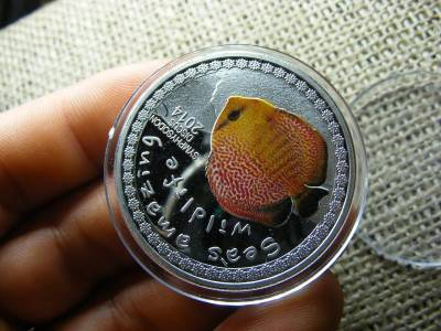 Burundi 5000 francs, 2014, ezüstözött állatos érme