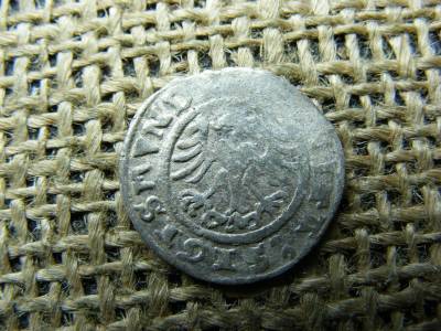 Ezüst 1/2 garas, 1509, I. Zsigmond
