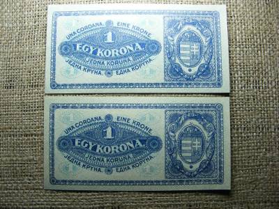 1 korona bankjegy, 1920, sorszámkövető pár