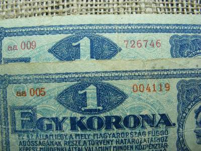1 korona bankjegy, 1920, pár, vörös és téglavörös