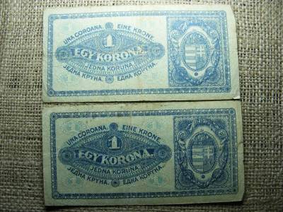 1 korona bankjegy, 1920, pár, vörös és téglavörös
